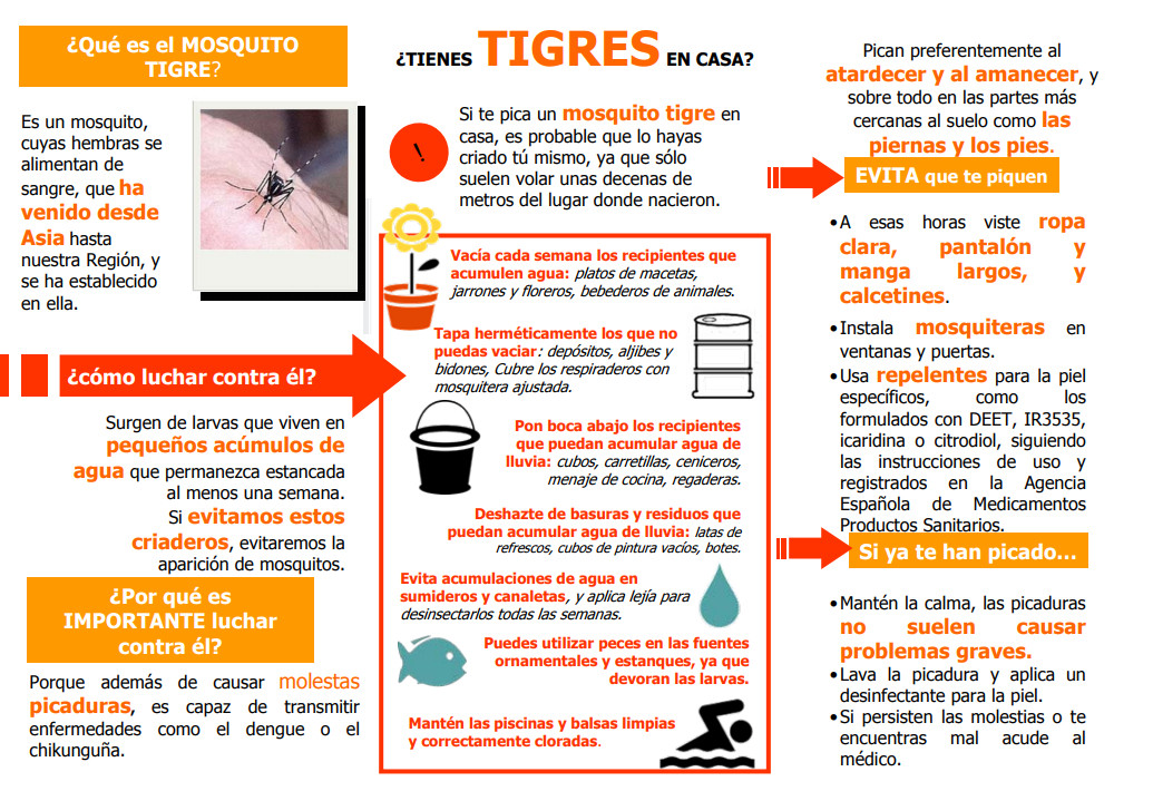 Salud Difunde Consejos Para Evitar La Proliferación De Mosquito Tigre En La Región