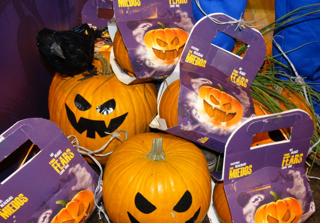 La calabaza de Halloween gana terreno por su demanda dentro y fuera de  España