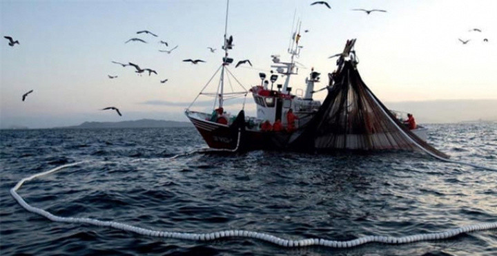 Pesca de cerco (Foto CARM)