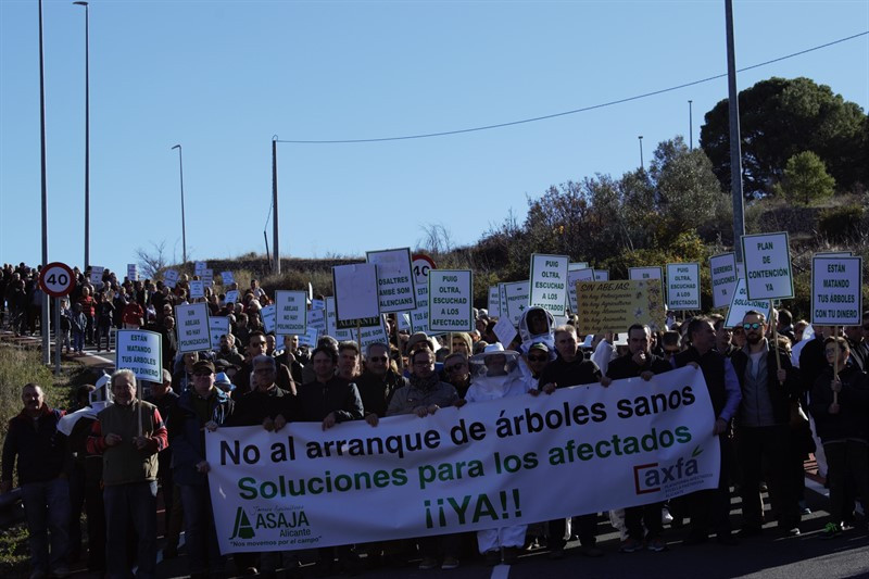Manifestaciu00f3n Xylella Guadalest (Foto Asaja Alicante)