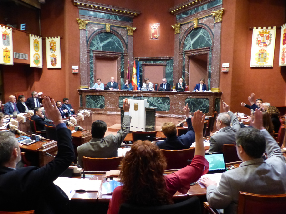Votación Ley Mar Menor 1febrero2018 (Foto Asamblea Regional)