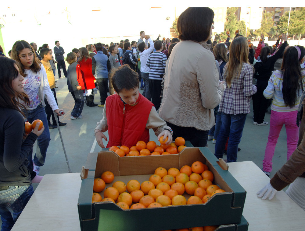 Plan consumo fruta escuelas castellon (Foto Generalitat valenciana)