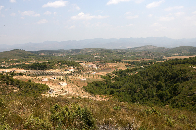 Desarrollo Rural Cultivos forestal (Foto Generalitat valenciana)