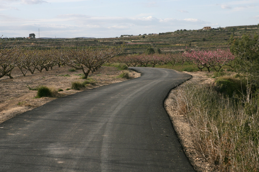 Camino Rural (Foto Generalitat Valenciana)