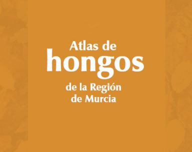 Atlas de Hongos de la Regiu00f3n de Murcia portada (Imagen CARM)