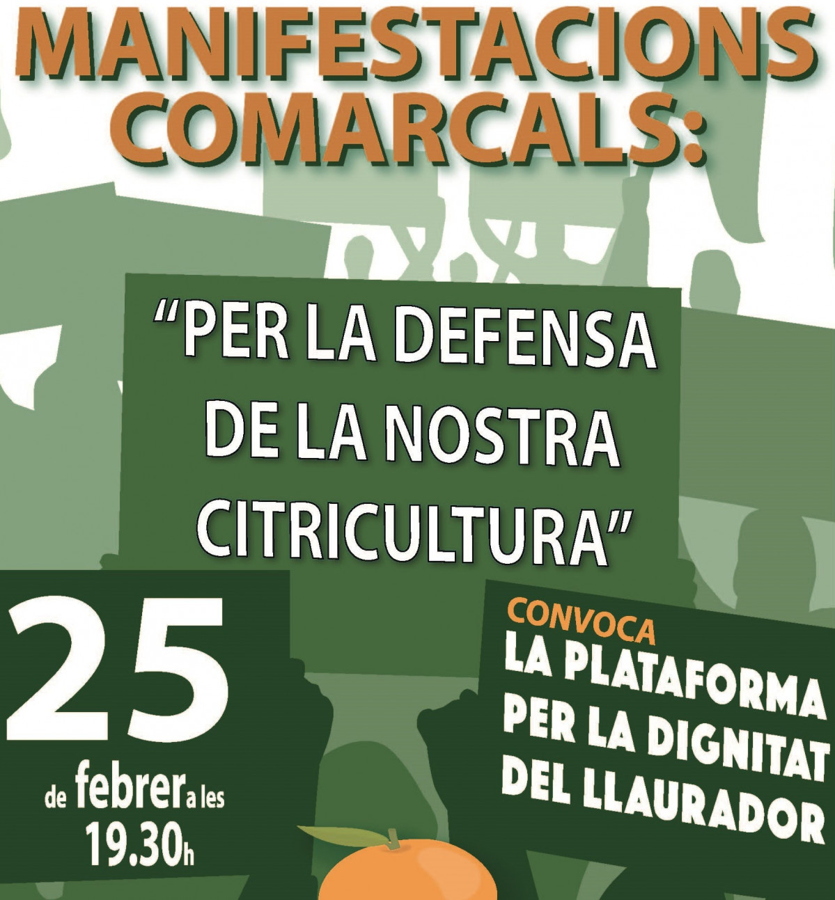 Manifestacions comarcals