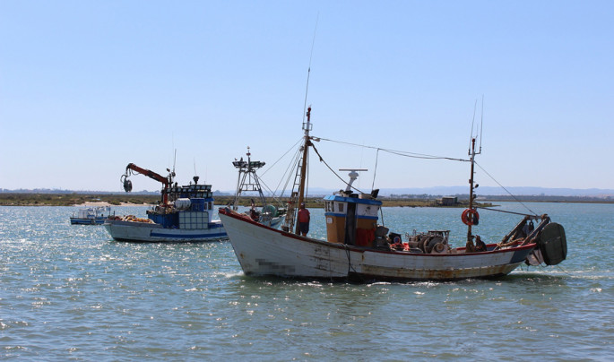 Barcos pesqueros de arrastre y de cerco (foto Junta de Andalucía)