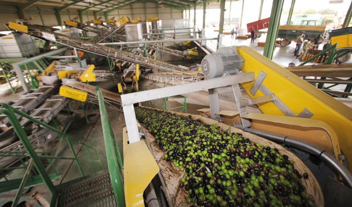 Almazara de aceite de oliva (Foto Junta de Andalucía)