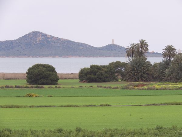 Mar Menor convocatoria ayudas mejora ambiental agrícola (Foto Oficina Técnica del Mar Menor)