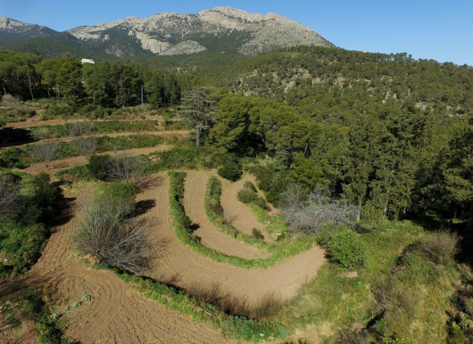 Antiguos bancales de cultivo en Sierra Espuña (Foto CARM)