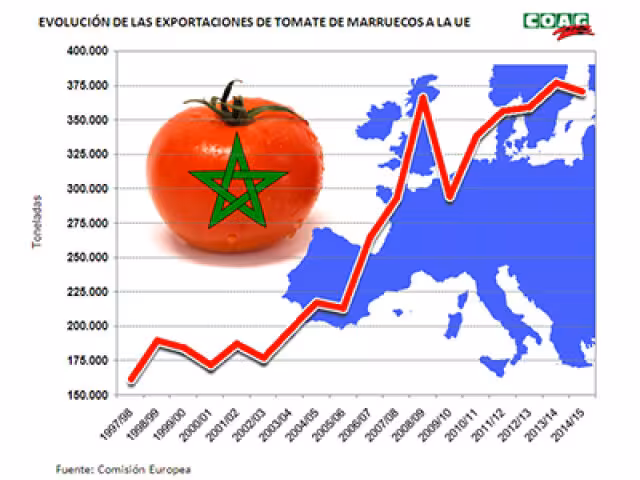 Estad&iacute;stica de exportaciones de tomate procedente de Marruecos (Imagen COAG) Archivo