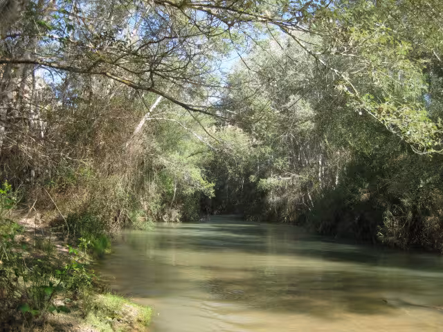 R&iacute;o Segura con especies aut&oacute;ctonas (Foto CARM)