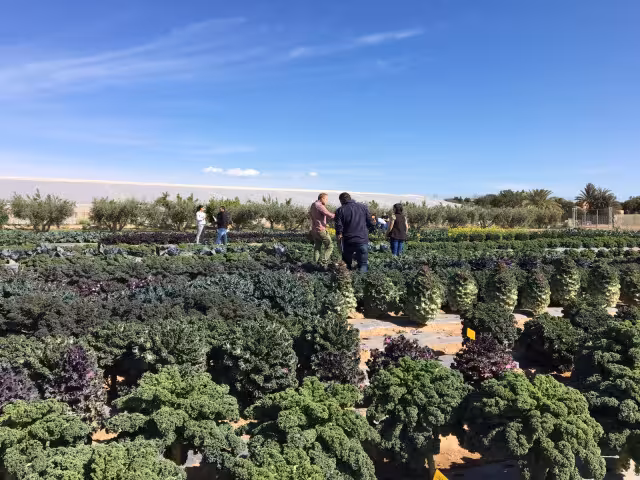 Campo de Ensayo en Fuente &Aacute;lamo (Foto Tozer Ib&eacute;rica)