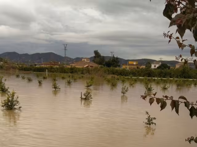 Campo de cultivo inundado dic 2016 Beniel (Foto Ayto Beniel)