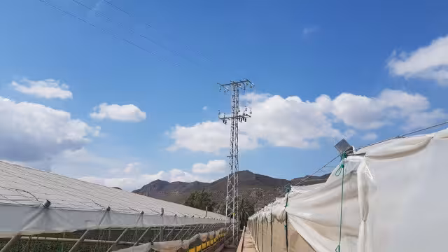 Torre El&eacute;ctrica entre invernaderos (Foto COIARM)