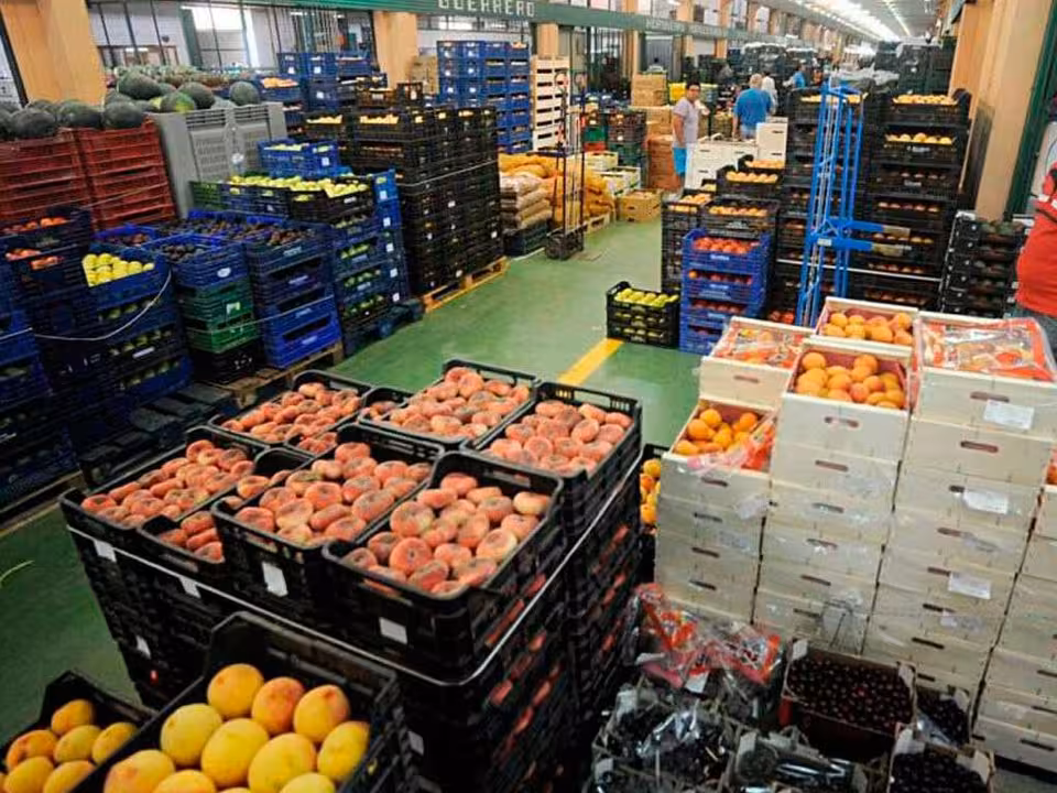 Lonja hortofrut&iacute;cola (Foto Mercamurcia)