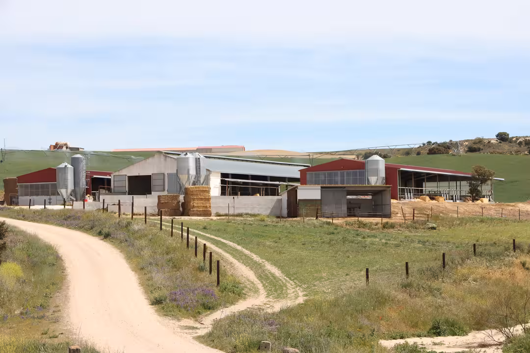 Granja de vacuno en Segovia (Foto Joaqu&iacute;n Ter&aacute;n_UPA)