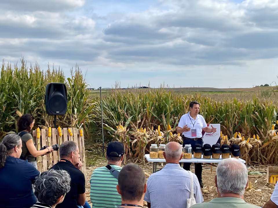 Presentaci&oacute;n del nuevo maiz h&iacute;drido Preceon en campo (Foto Bayer Espa&ntilde;a)
