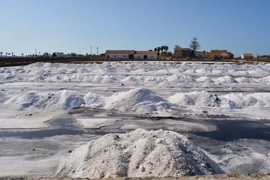 Primera cosecha de sal en las Salinas de Marchamalo (Foto Pedro Garc&iacute;a ANSE) Archivo