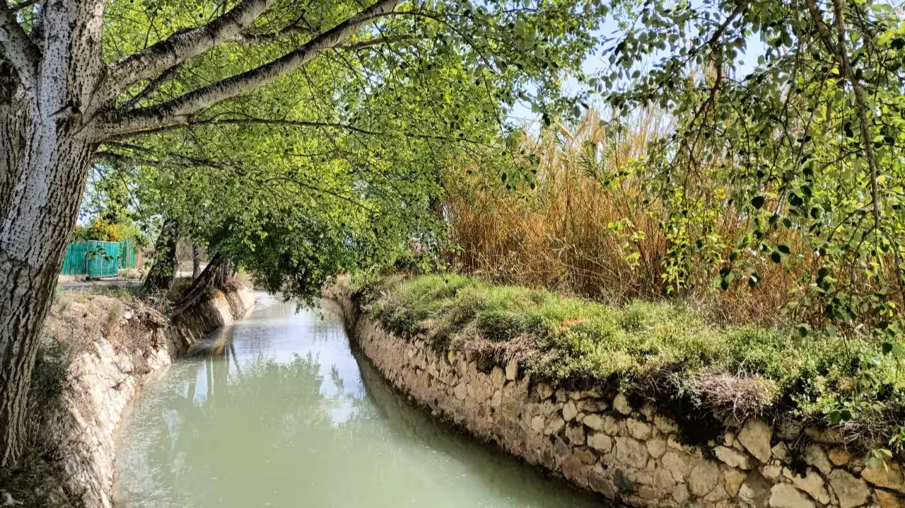 Acequia mayor de Aljuf&iacute;a (Foto Huermur)