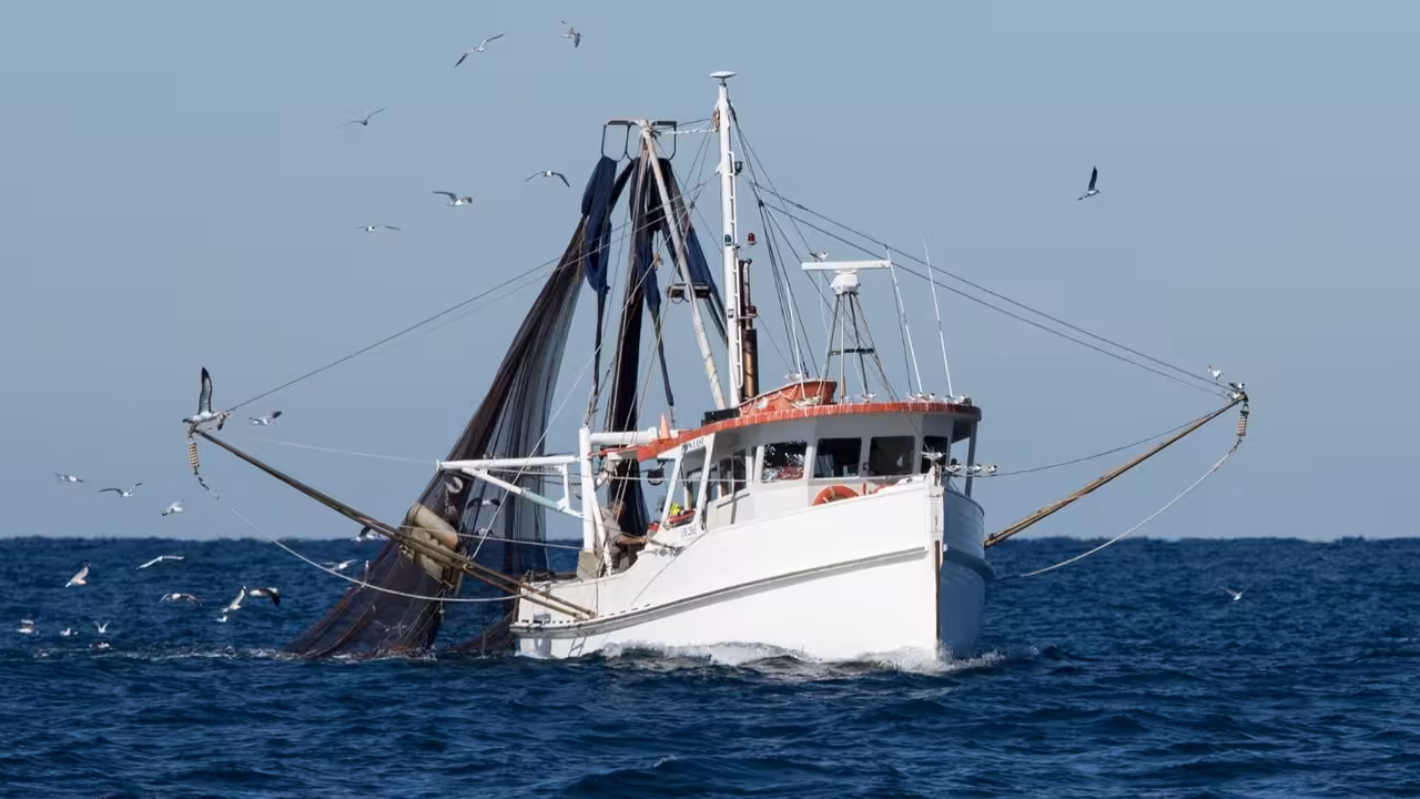 Pesca de cerco en el Golfo de C&aacute;diz (Foto Junta de Andaluc&iacute;a)