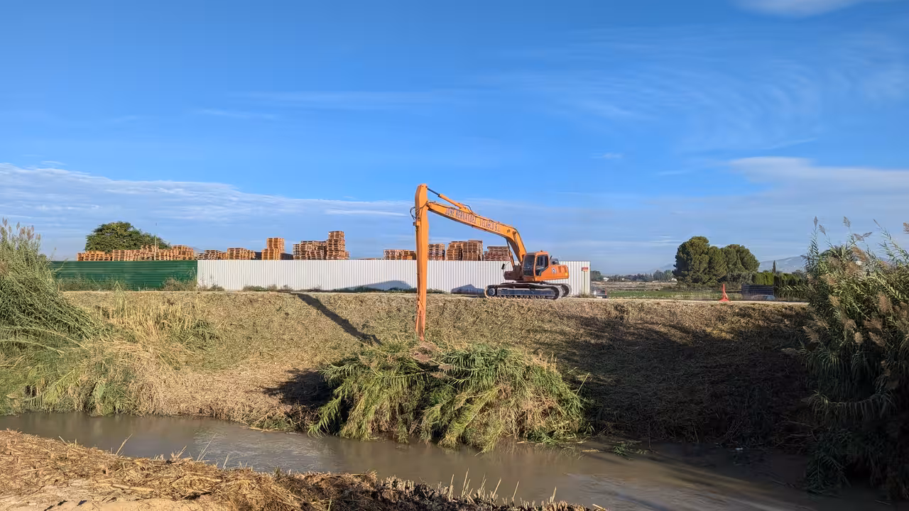 Obras de restauraci&oacute;n ambiental en el r&iacute;o Segura (Foto CHS)