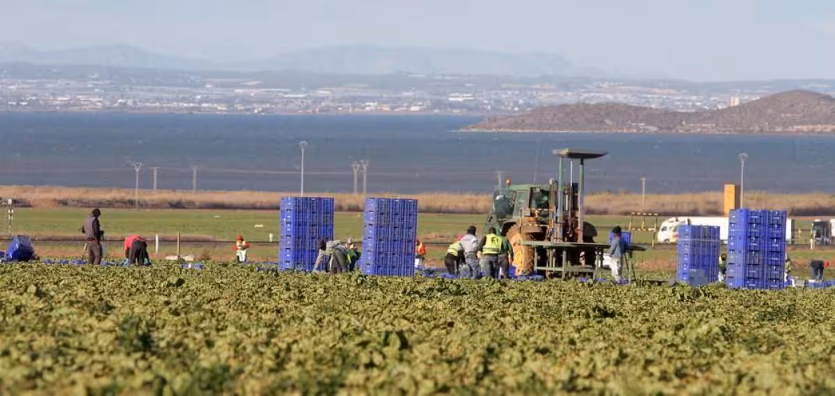 Jornaleros en el campo (Foto CCOO Industria)