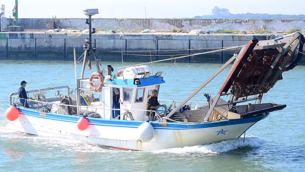 Barco de pesca dedicado a la captura de chirla (Foto Junta de Andaluc&iacute;a)