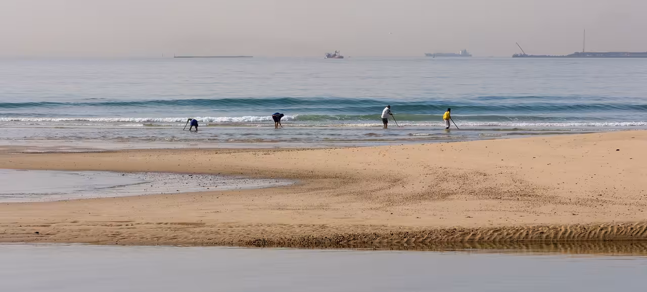 Mariscadores a pie de coquina en el Golfo de C&aacute;diz (Foto Junta de Andaluc&iacute;a)