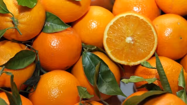 Mandarinas (Foto Generalitat Valenciana)