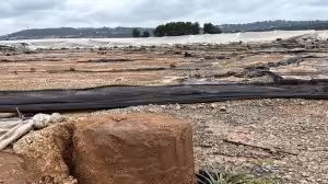 Da&ntilde;os en explotaciones agrarias por la DANA (Foto AVA Asaja)