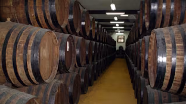 Barriles de una bodega (Foto Junta de Andaluc&iacute;a)