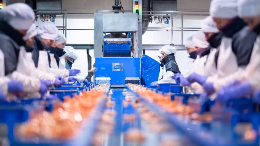 Industria alimentaria (Foto CTNC)
