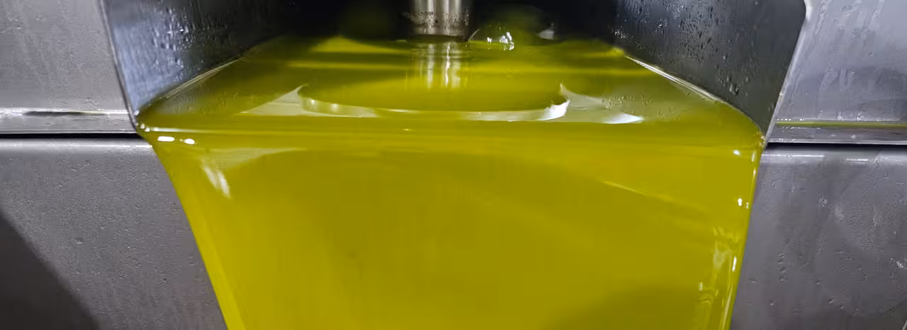 Aceite de oliva en una almazara (Foto UPA Andaluc&iacute;a)