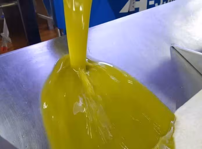 Chorro de aceite de oliva en una almazara (Foto COAG Andaluc&iacute;a)