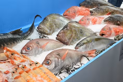 Mostrador con pescado y marisco (Foto MAPA)