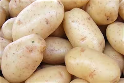 Patatas (Asaja Alicante)