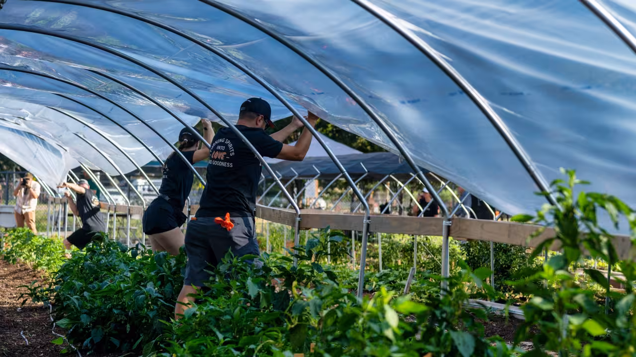 Estudio de los efectos de los pesticidas en la agricultura (Foto ibs.Granada)