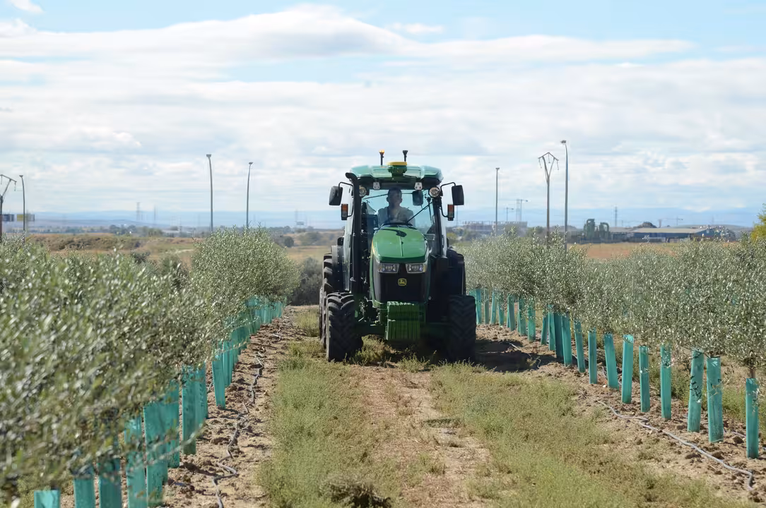Tractor en un olivar (Foto MAPA)