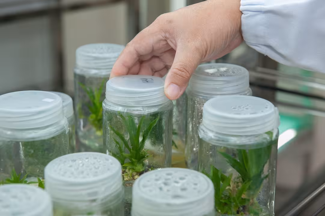 Ainia biotecnolog&iacute;a (Foto MAPA)