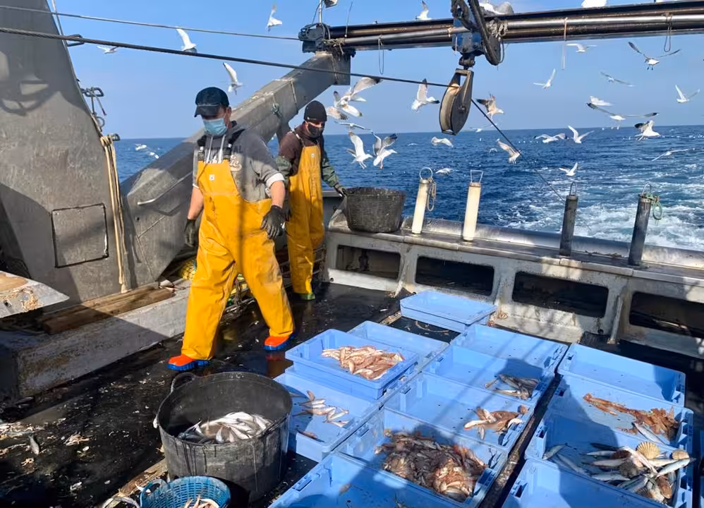 Actividad pesquera en el Mediterr&aacute;neo a bordo de un buque de Castell&oacute;n (Foto Cepesca)