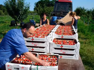 Trabajadores agrarios (Foto UGT FICA)