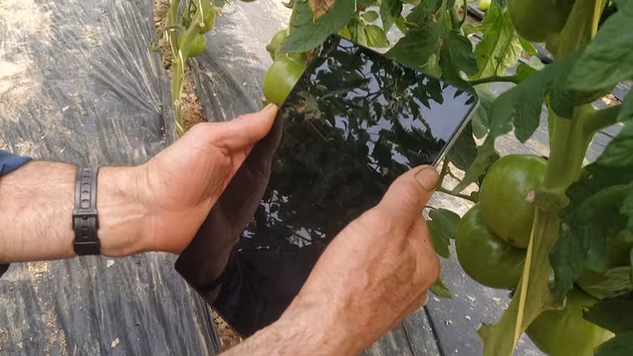 Agricultor con una tableta en una explotaci&oacute;n agraria (Foto AVA-Asaja)