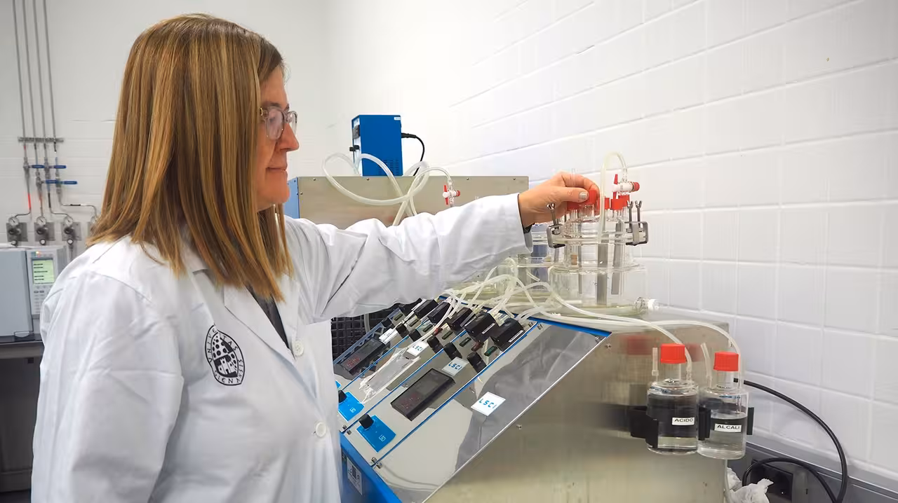 La investigadora Lourdes Mart&iacute;nez Cartas (Foto Universidad de Ja&eacute;n)