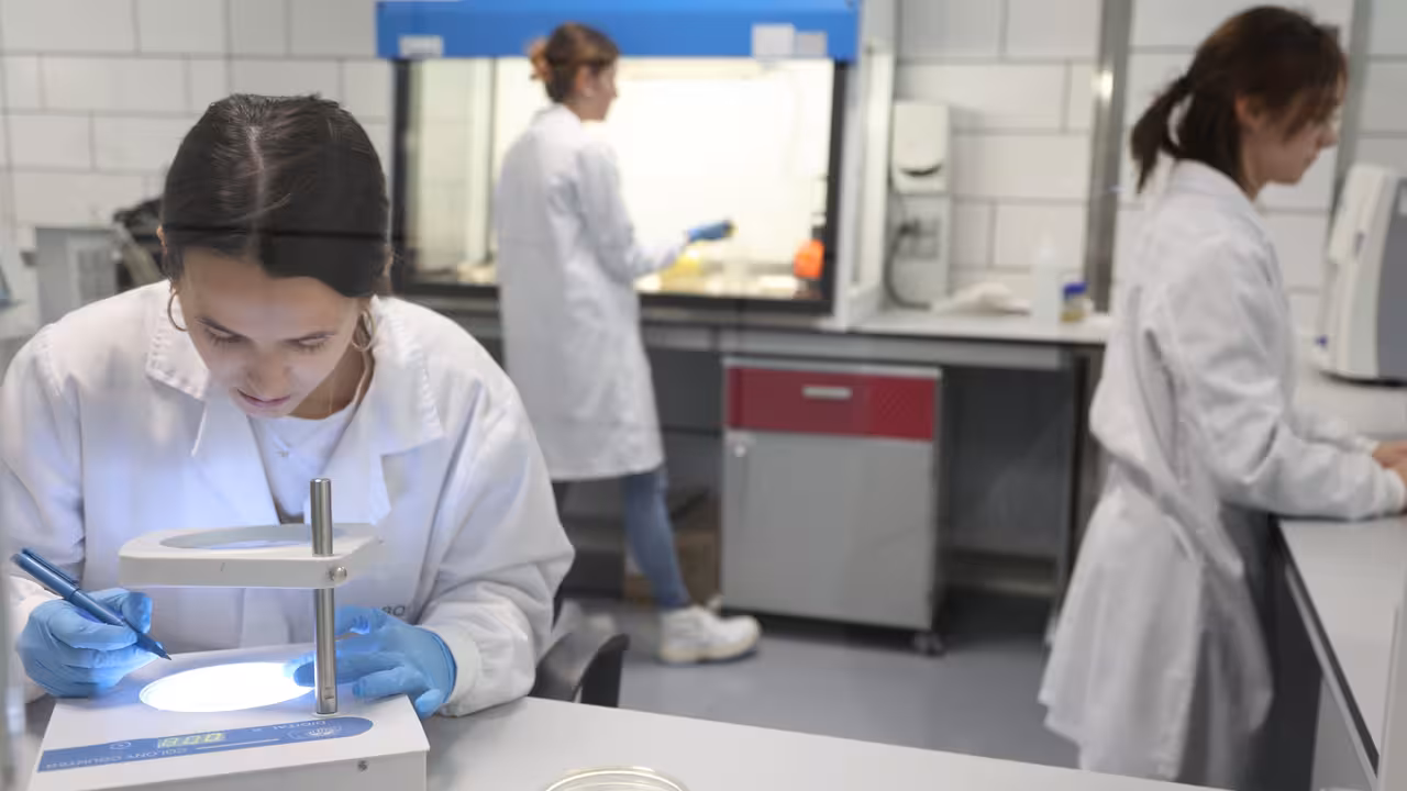 Cient&iacute;ficas investigando sobre la caducidad de la carne de cerdo fresca (Foto UPCT)