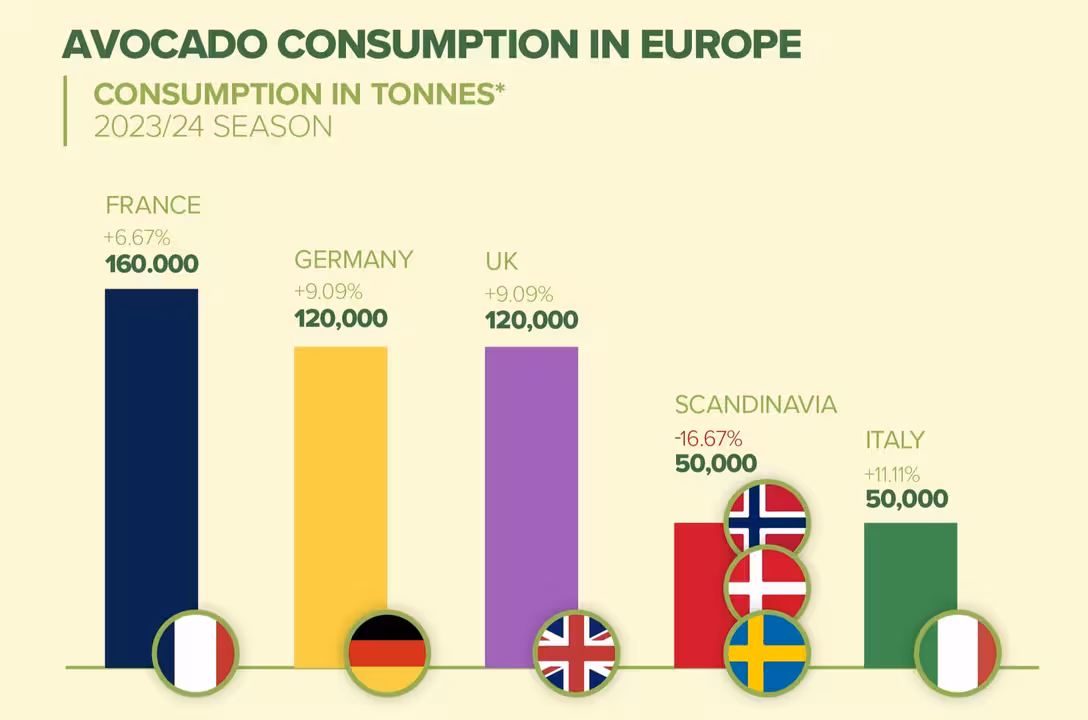 Consumo de aguacate en Europa (Infographic The World Avocado Organisation)