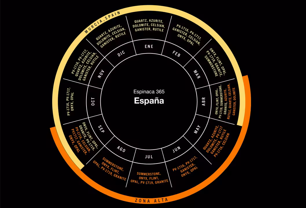 KWS-Spinachwheel365_ES_2025