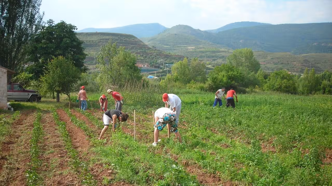 Integraci&oacute;n cooperativa (Foto MAPA)