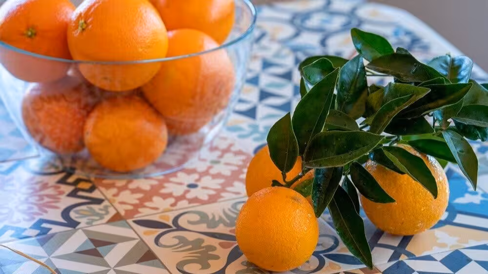 Bodeg&oacute;n con naranjas (Foto Intercitrus)