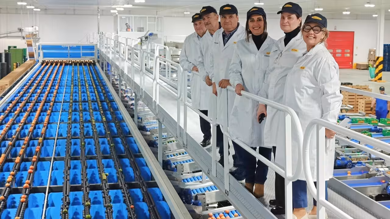 Rubira, junto a los directivos de la SAT Perich&aacute;n en la nueva calibradora para el procesado de producto que han instalado (Foto CARM)